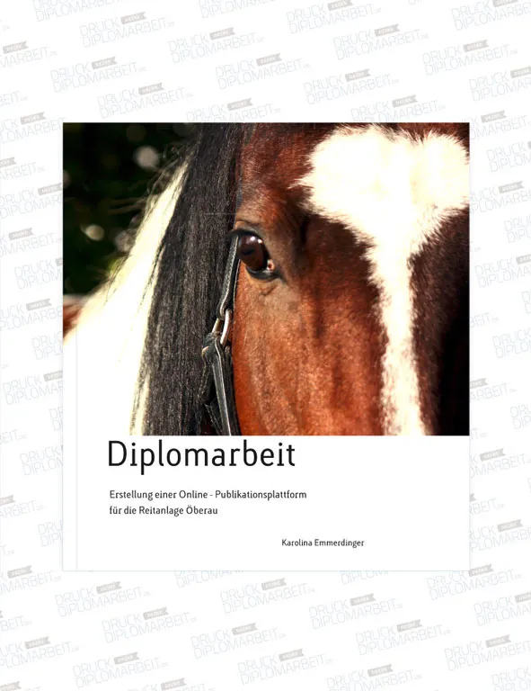 Bachelorarbeit drucken und binden mit Hardcover- oder Softcover-Bindung.