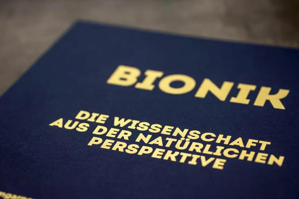 Bachelorarbeit drucken und binden mit Hardcover- oder Softcover-Bindung.